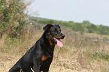 BEAUCERON 223